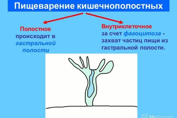Кракен питер